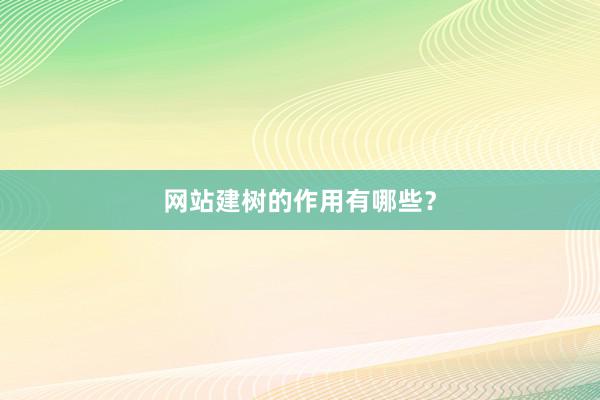 网站建树的作用有哪些？